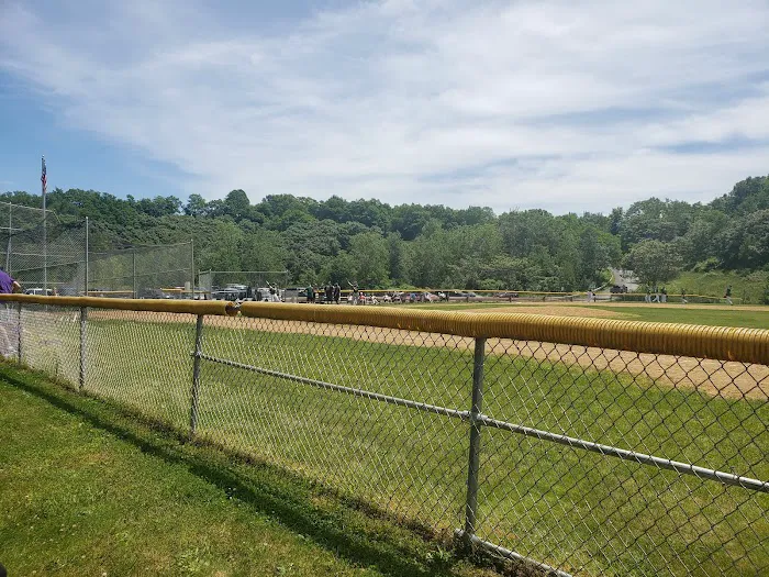 The Pit Soccer Field Picture 2