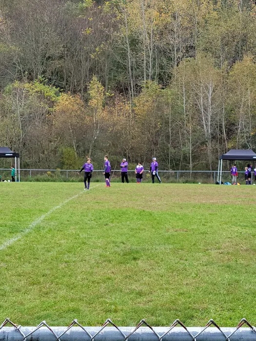 The Pit Soccer Field Picture 1