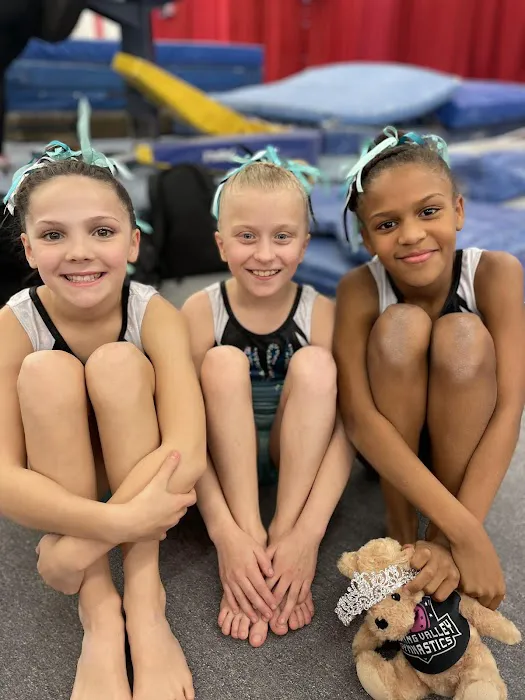 Wyoming Valley Gymnastics Picture 7