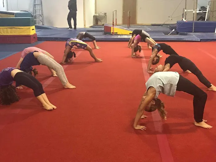 Wyoming Valley Gymnastics Picture 3