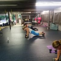 Davis Training ico