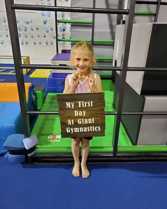 Giant Gymnastics of Hackettstown Picture 6