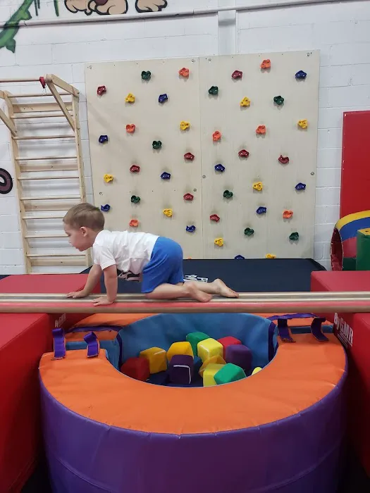Monmouth Gymnastics Picture 3