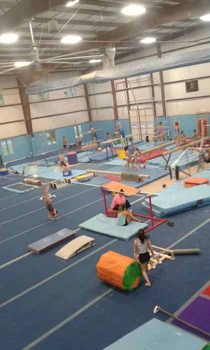 Premier Gymnastics and Cheer Academy Picture 6