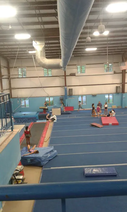 Premier Gymnastics and Cheer Academy Picture 8