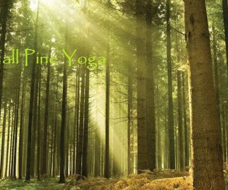 Tall Pine Yoga