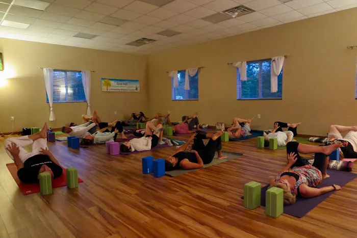 Tall Pine Yoga Picture 4