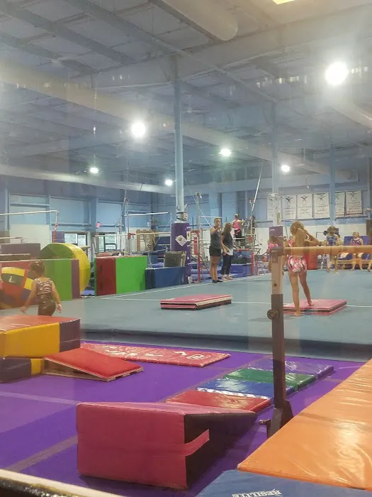Action Gymnastics Picture 8