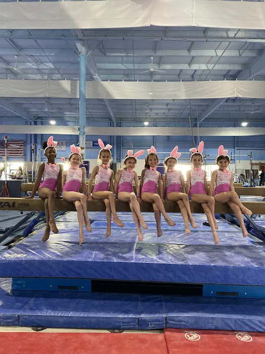 Action Gymnastics Picture 1