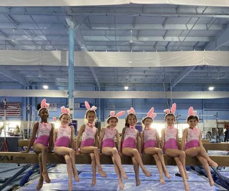 Action Gymnastics