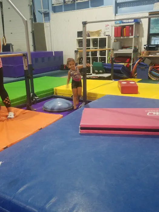 Action Gymnastics Picture 4