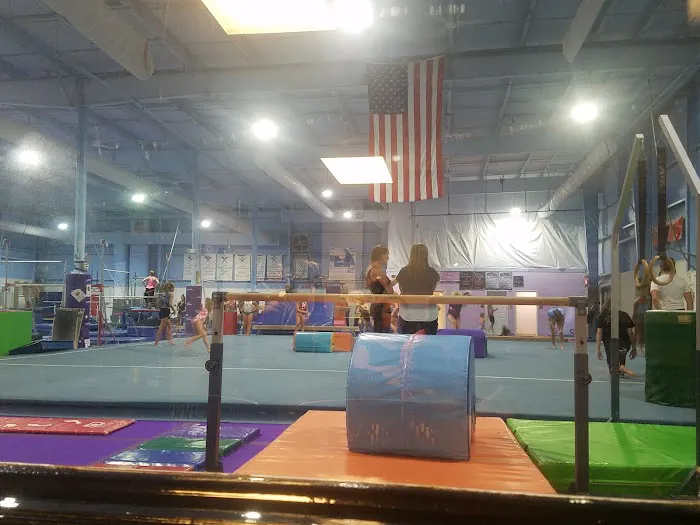 Action Gymnastics Picture 5
