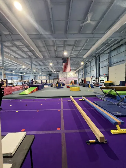 Action Gymnastics Picture 3