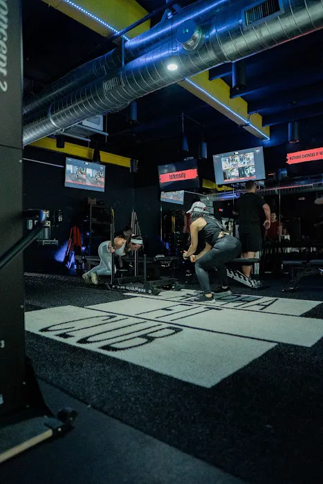 Alpha Fit Club Picture 7
