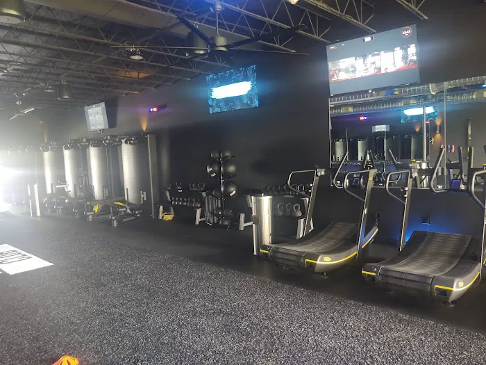 Alpha Fit Club Picture 4