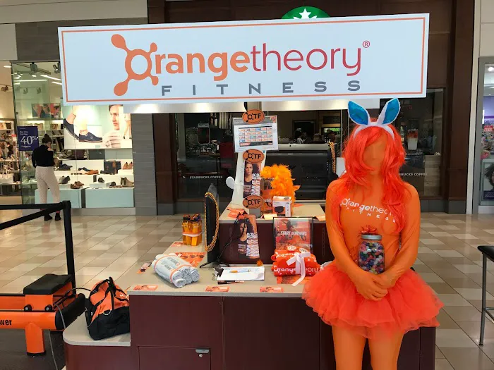 Orangetheory Fitness Picture 4