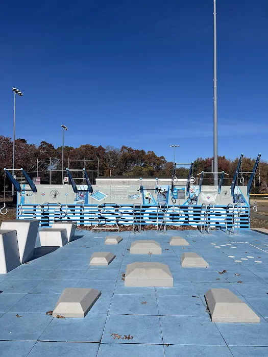 Fitness Court at Veterans Recreation Complex Picture 10