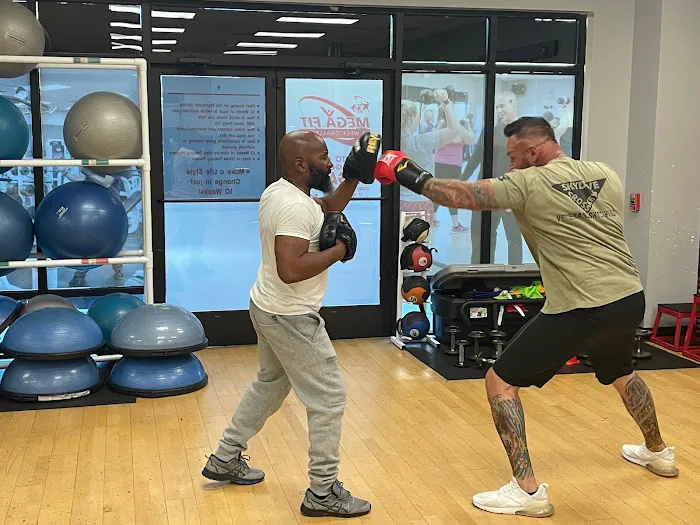 Get Fit Boxing Picture 1
