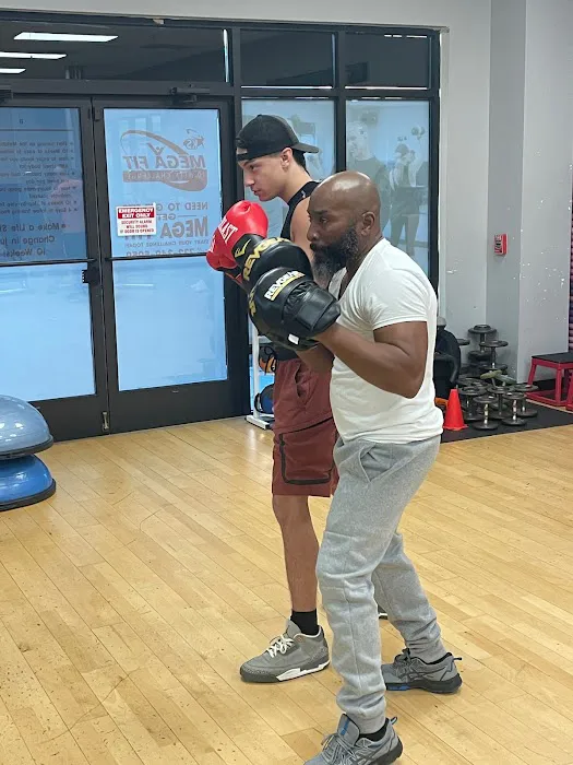 Get Fit Boxing Picture 4