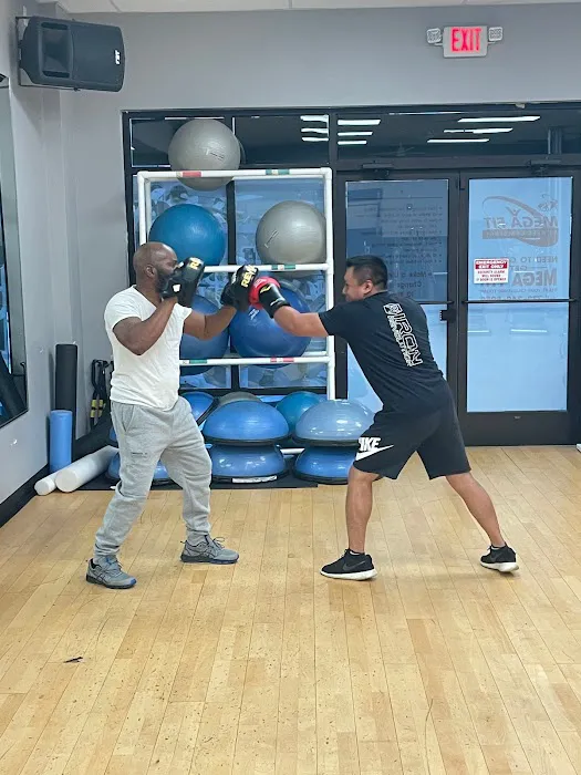 Get Fit Boxing Picture 9