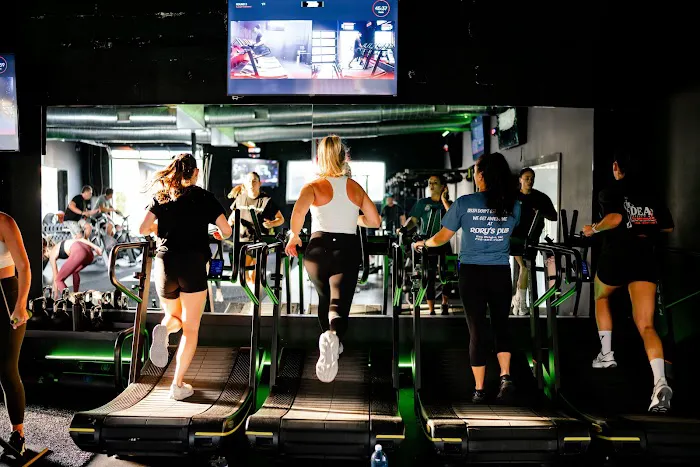 Alpha Fit Club Picture 3