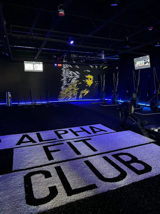 Alpha Fit Club Picture 1