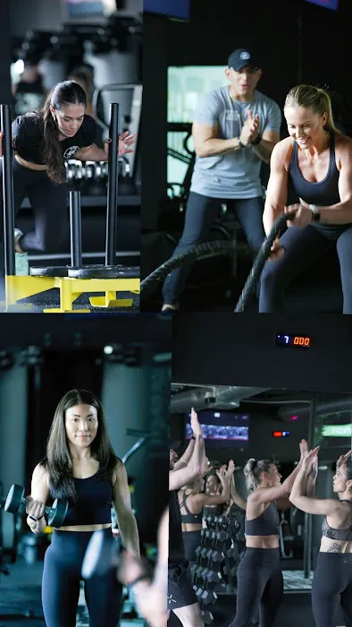 Alpha Fit Club Picture 5