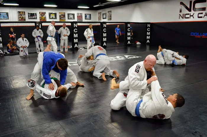 Nick Catone MMA & Fitness Picture 7