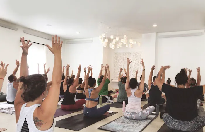 Bask Hot Yoga Picture 5
