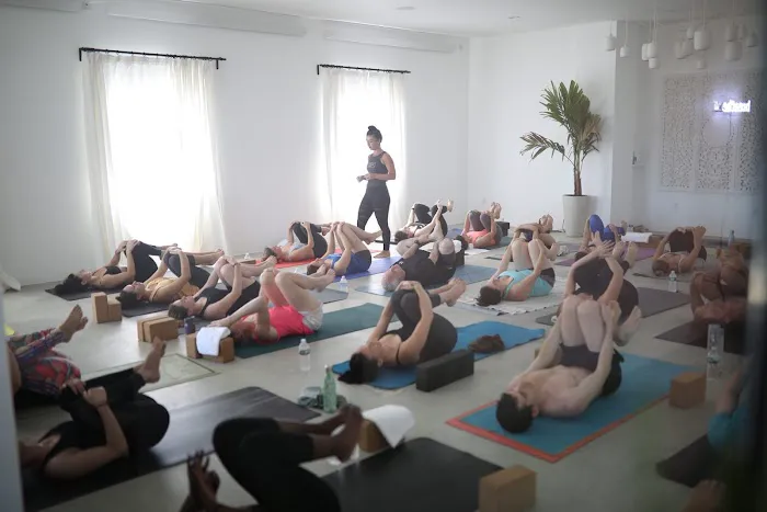 Bask Hot Yoga Picture 2