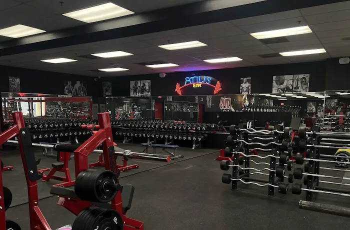 Atilis Gym Brick Township Picture 3