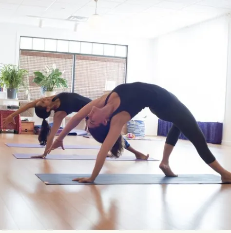 Dhyana Yoga Arts Picture 4