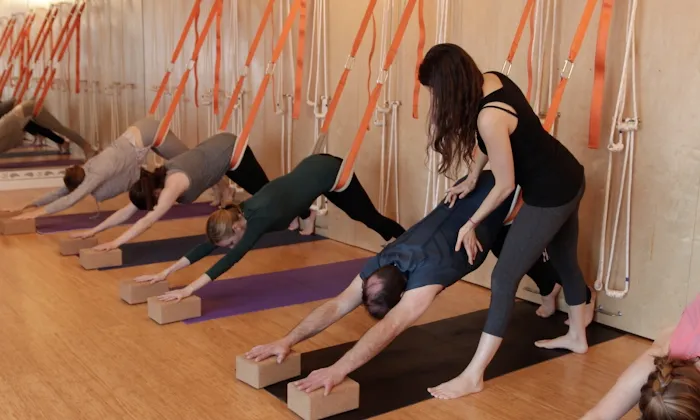 Dhyana Yoga Arts Picture 7