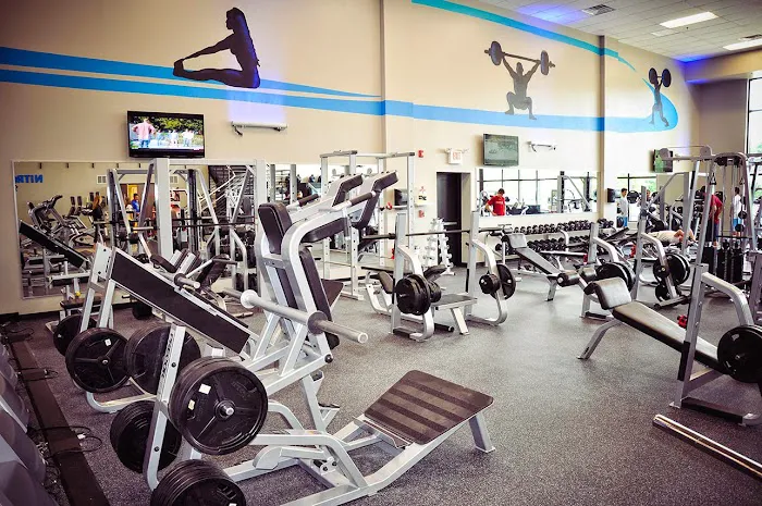 Nitroflex Gym Picture 7