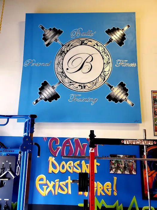 Balle' Private Fitness Training Studios Picture 1