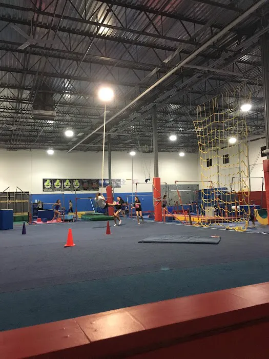 DC Gymnastics School Picture 6