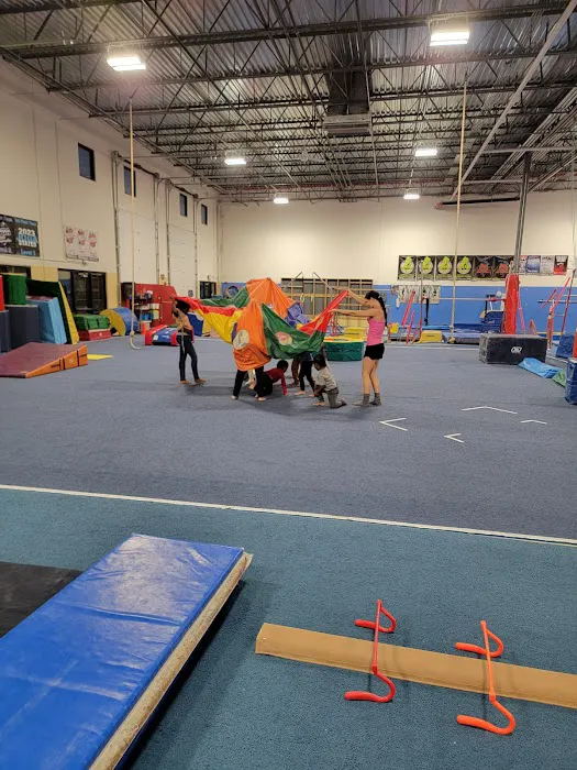 DC Gymnastics School Picture 3
