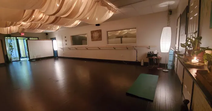 Inspire Yoga and Holistic Studio Picture 5