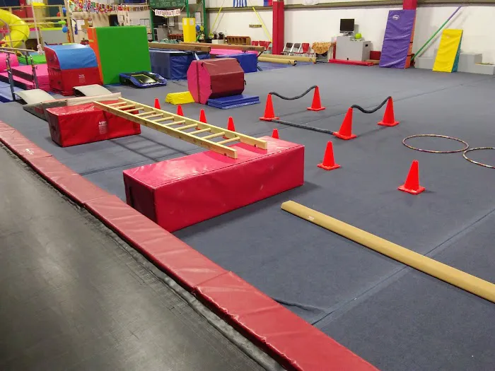 Sunshine Gymnastics Picture 4