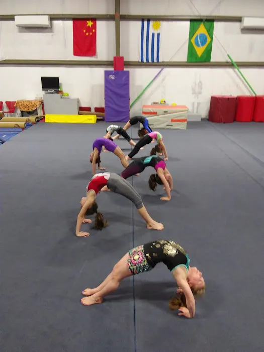 Sunshine Gymnastics Picture 5
