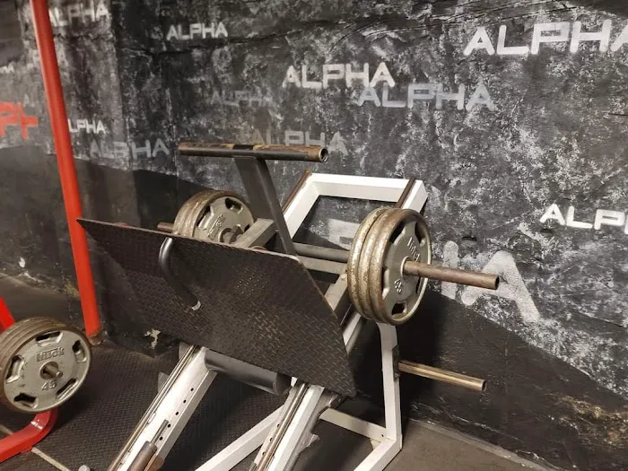 Alpha Fitness Picture 3