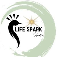Life Spark Studio NJ ico