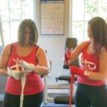 H.D Fitness /3 Headed Cobra MMA