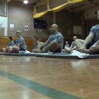 Tall Pine Yoga ico