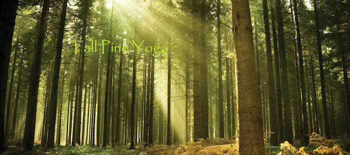 Tall Pine Yoga Picture 10
