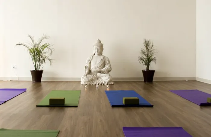 Yoga + Herbs Picture 8