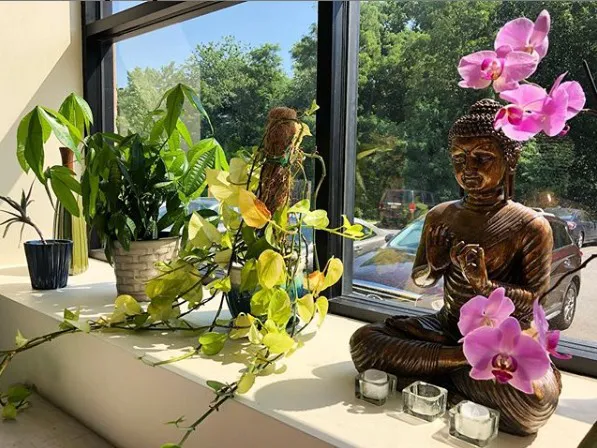 Yoga + Herbs Picture 3