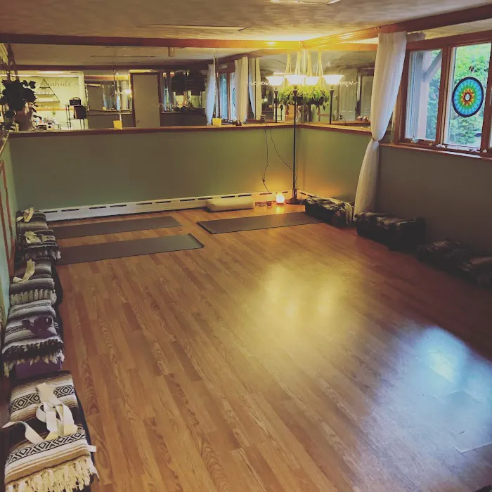 Align Yoga and Strength Picture 3