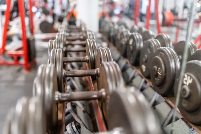 The Muscle Mill Picture 5