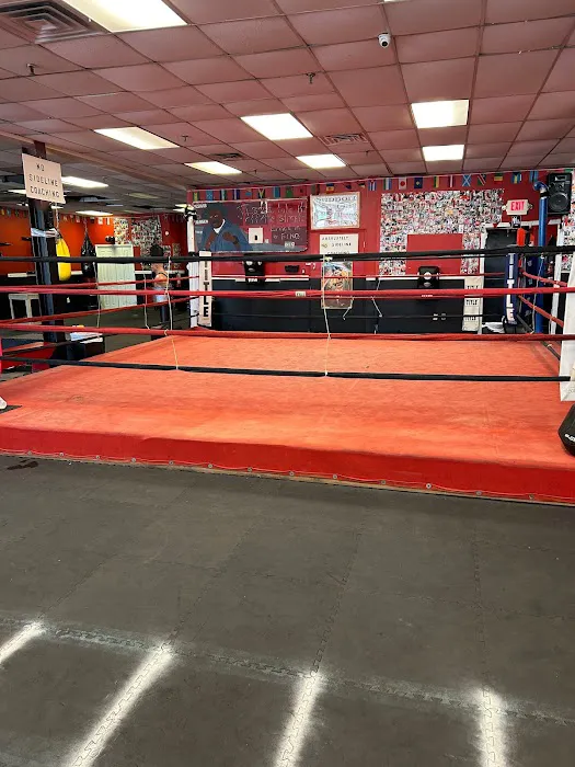 Brunswick Boxing Stars Picture 3